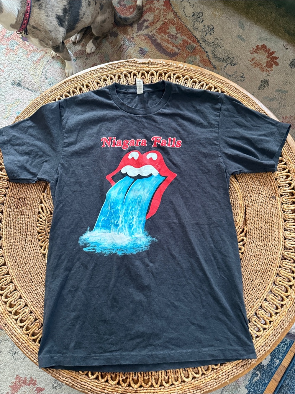 Niagara Falls Graphic Tee - Black with Design to resemble Rolling Stones